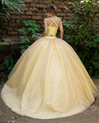 Modelo: D85-585 ESPALDA