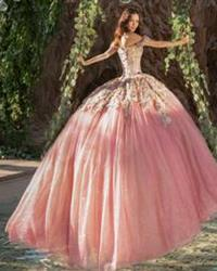 Modelo: DV86-586 ESPALDA