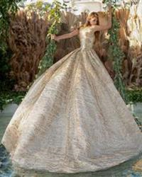 Modelo: DV88-588 ESPALDA