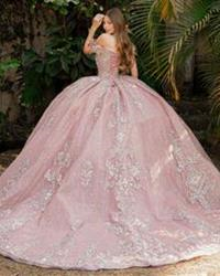 Modelo: DV89-589 ESPALDA