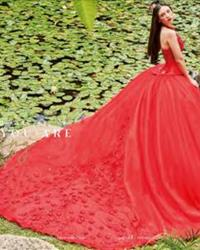 Modelo: D70-570 ESPALDA